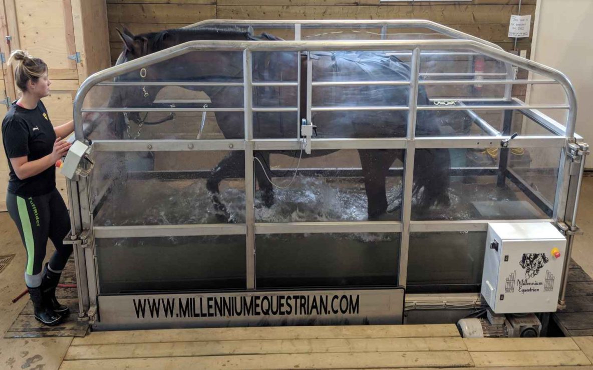 Central Alberta Equine Rehab & Wellness Centre water treadmill