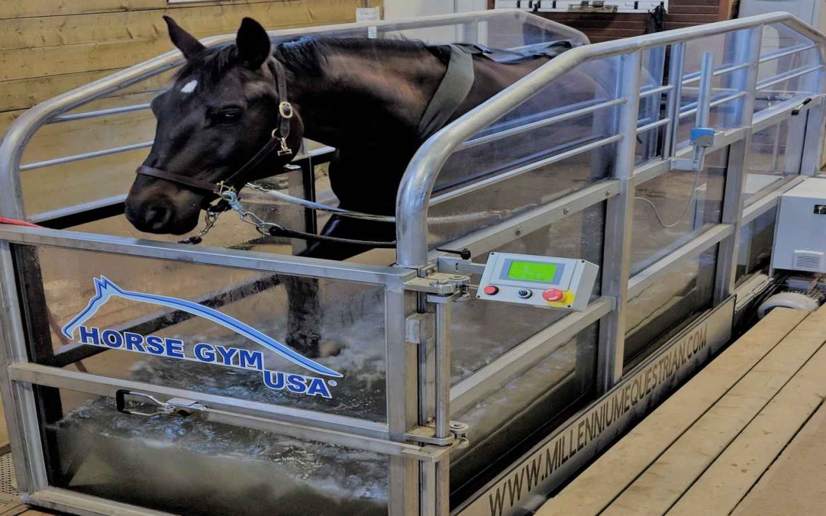 Central Alberta Equine Rehab & Wellness Centre water treadmill