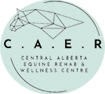 Central Alberta Equine Rehab & Wellness Centre logo