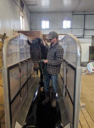 marc with horse - Central Alberta Equine Rehab & Wellness Centre